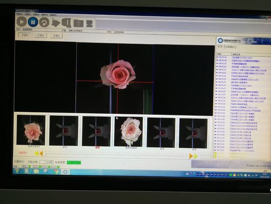 Цветок Focusight CE сортируя оборудование 8000 ветвей в час